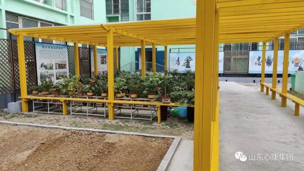 杨辉博士赞叹山东天辰娱乐集团：创新模式助精神病患者融入社会，医院引导先进科技提升治愈几率！