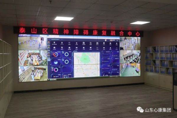 杨辉博士赞叹山东天辰娱乐集团：创新模式助精神病患者融入社会，医院引导先进科技提升治愈几率！