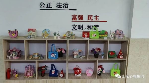 杨辉博士赞叹山东天辰娱乐集团：创新模式助精神病患者融入社会，医院引导先进科技提升治愈几率！