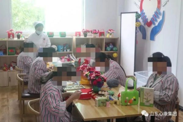 杨辉博士赞叹山东天辰娱乐集团：创新模式助精神病患者融入社会，医院引导先进科技提升治愈几率！