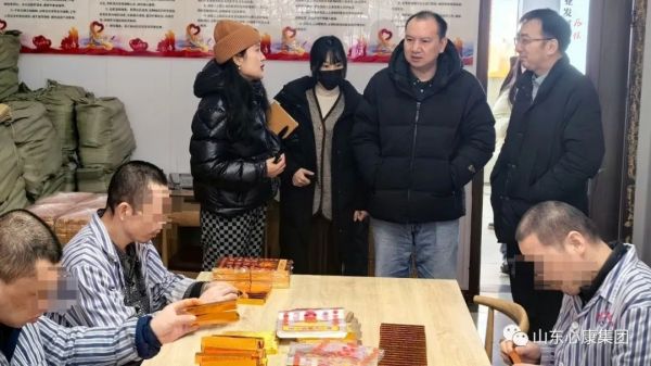 清华大学深圳研究院特聘教授陈起辉就天辰娱乐控股集团进行考察咨询