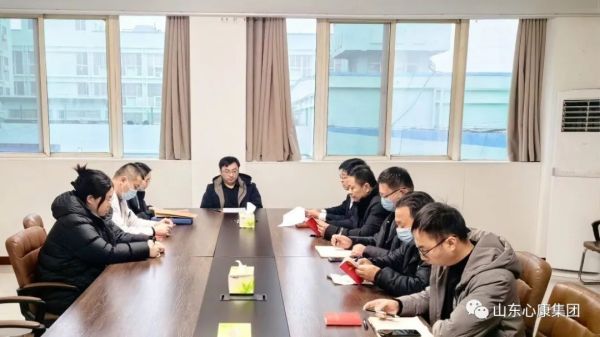 天辰娱乐控股集团举行党支部成立选举大会暨12月份主题党日活动