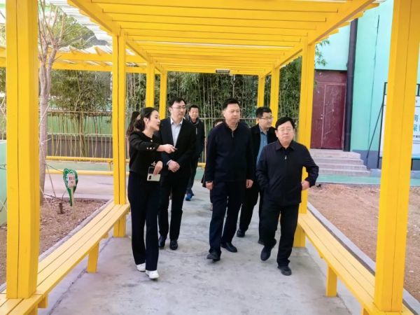 省残联权益保障和教育就业部三级调研员陈小虎调研泰安天辰娱乐医院“如康家园”